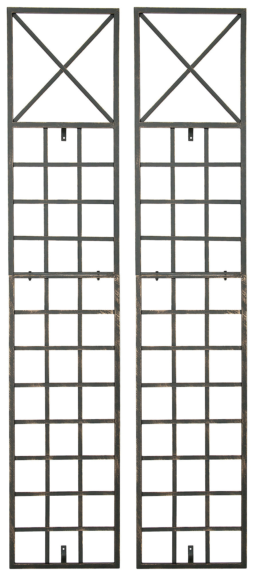 Trigo Espalier N°2 Edition