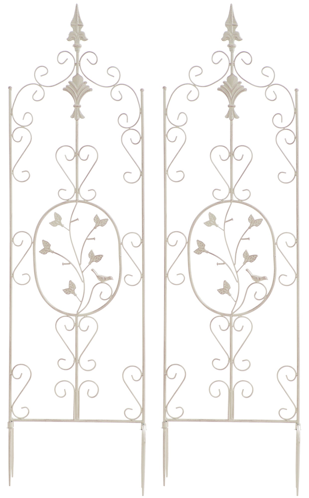 Espalier Burgus N°2