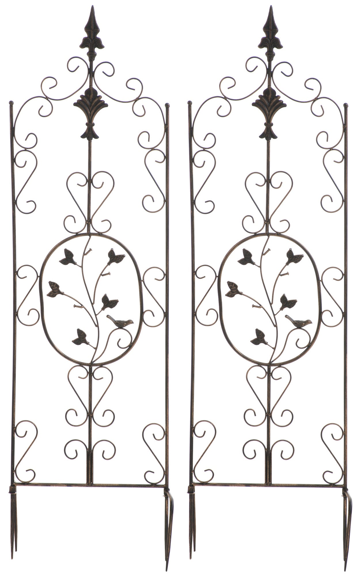 Espalier Burgus N°2