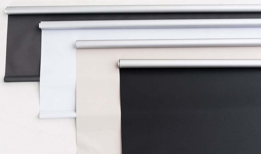 Alba Rollo N°325582