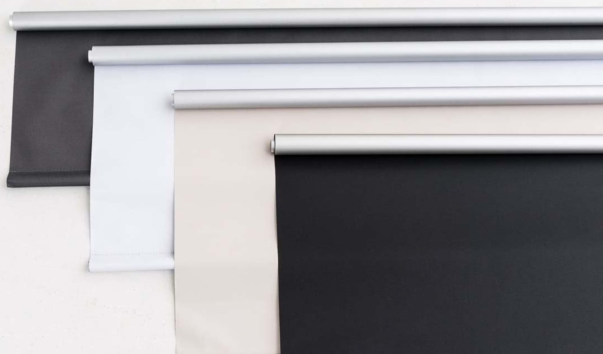 Alba Rollo N°325582