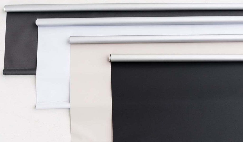 Alba Rollo N°325582