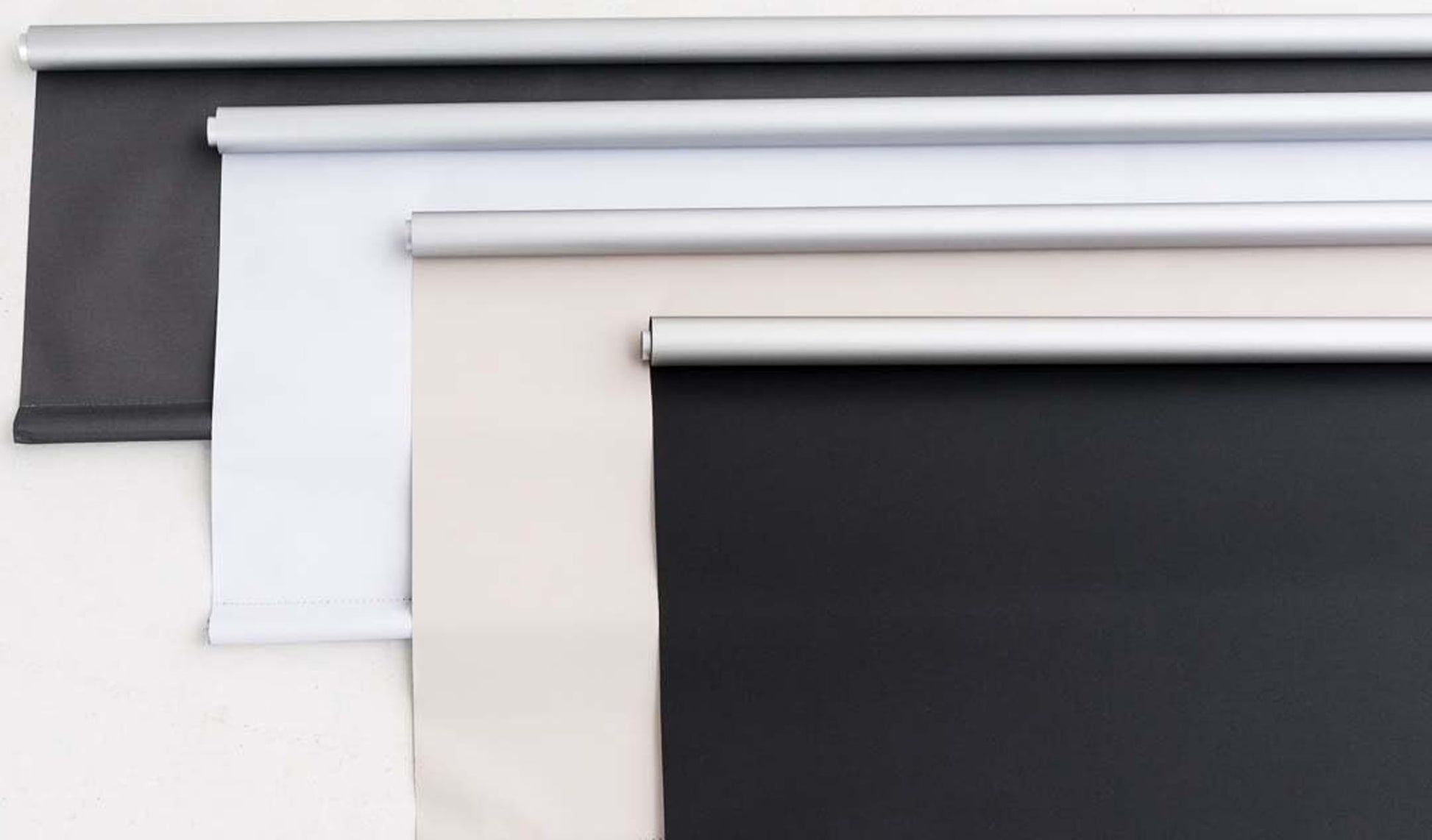 Alba Rollo N°325582