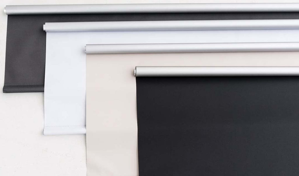 Alba Rollo N°325582