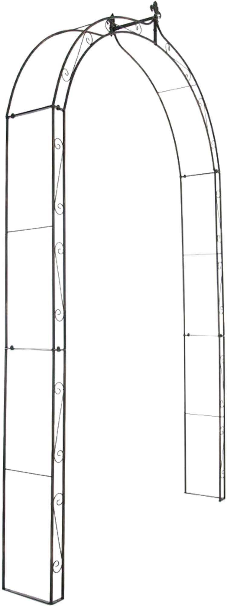 Anna Rosenbue N°246